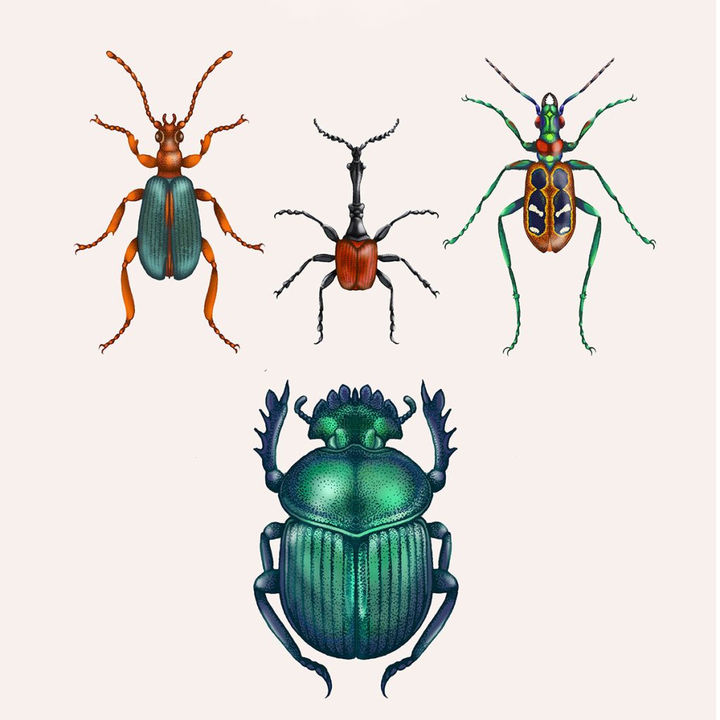 Emily Garces Insects Entographica - Insect-inspired Art